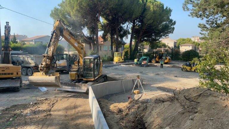 WhatsApp Image 2026-02-12 at 12.09.52